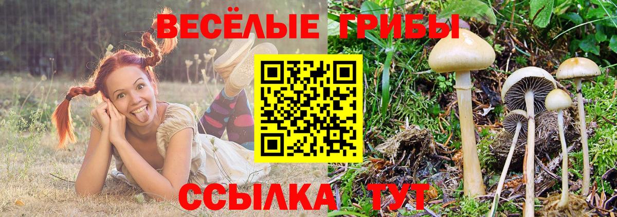 Галлюциногенные грибы мицелий Люберцы