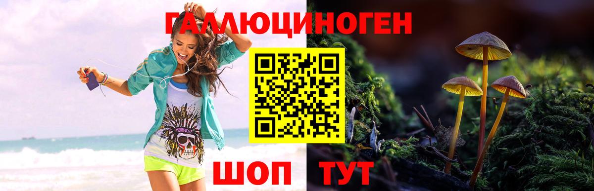 Галлюциногенные грибы GOLDEN TEACHER  Галлюциногенные грибы Psilocybe  Вход с VPN  Люберцы 