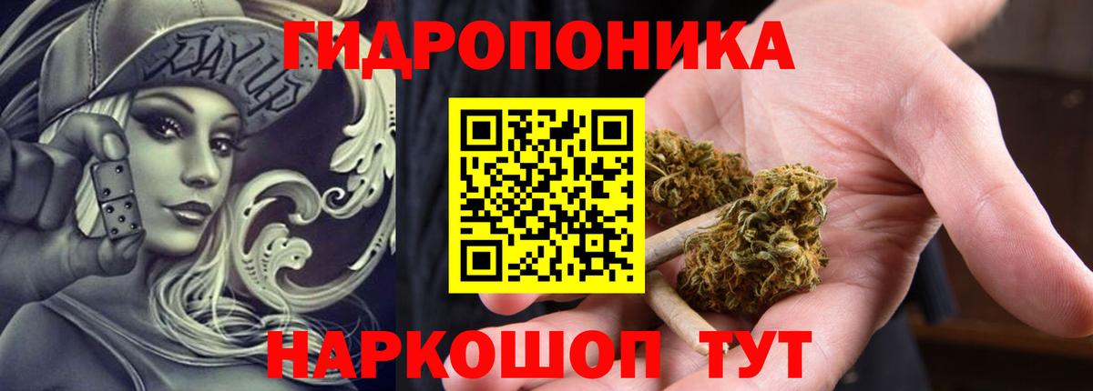 Конопля планчик Люберцы
